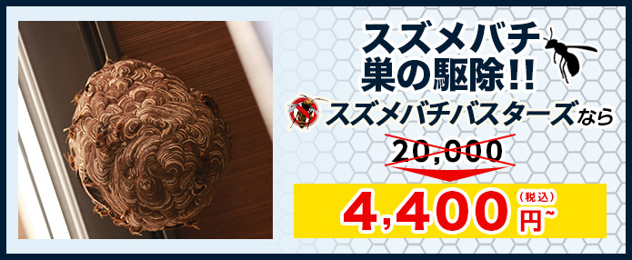 蜜蜂の巣駆除¥8,000～！